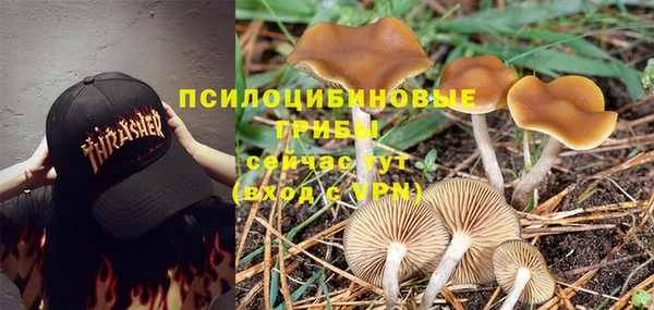 марихуана Аркадак