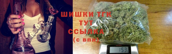 гидра Арсеньев